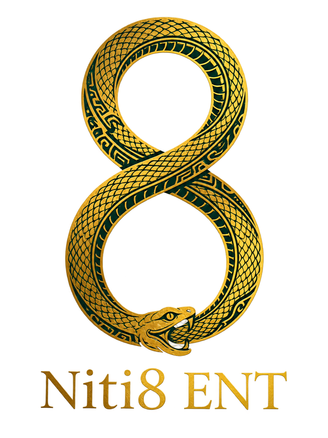 Official Niti8 ENT logo